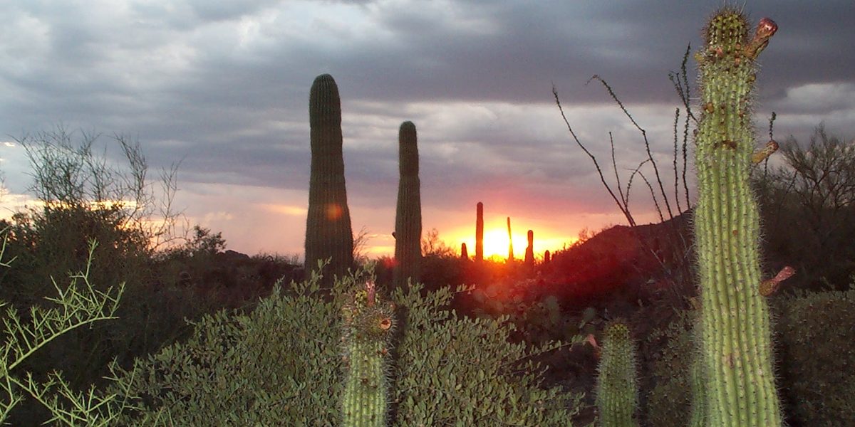 Highlights of the Desert Southwest Every Traveler Should See